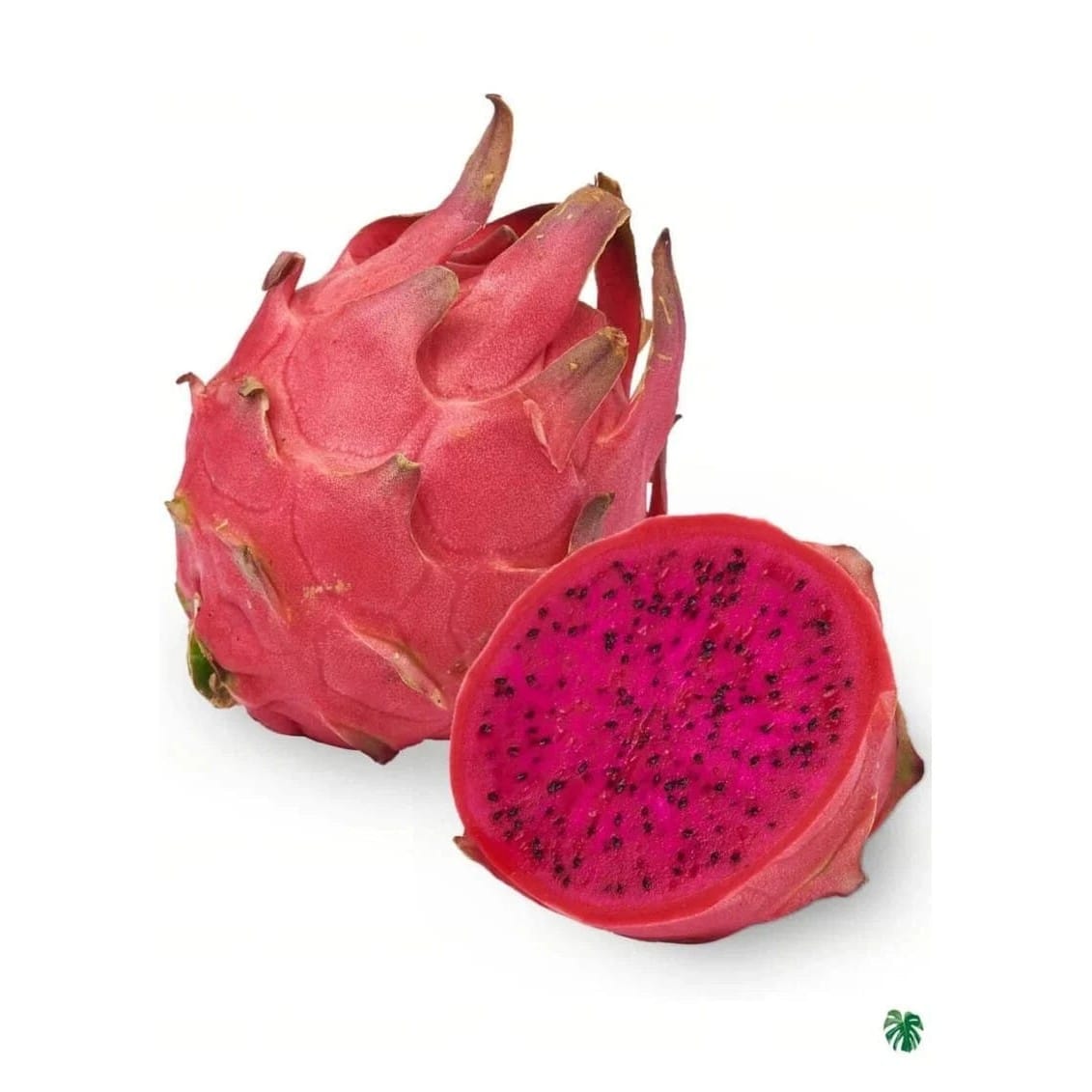 Dragon Fruit-Kg