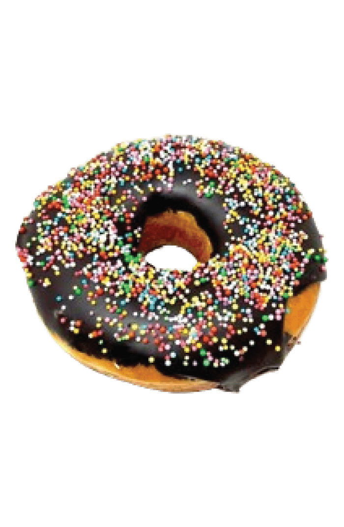 Chocolate Doughnut with Sprinkles
