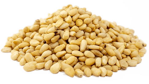 Pine nut seeds 250g