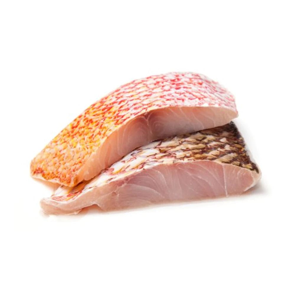 Fresh Snapper Fillet