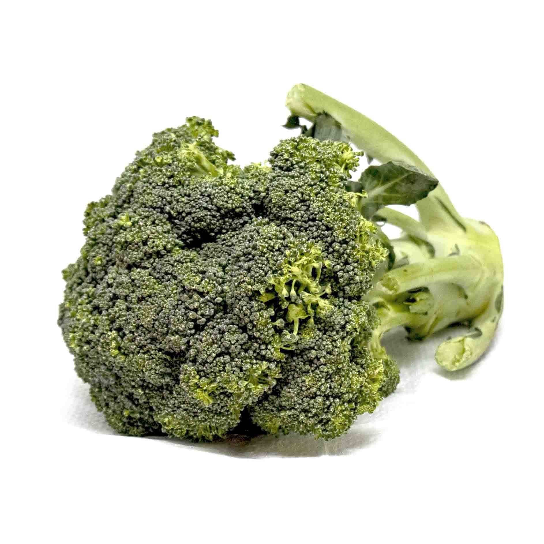 Broccoli