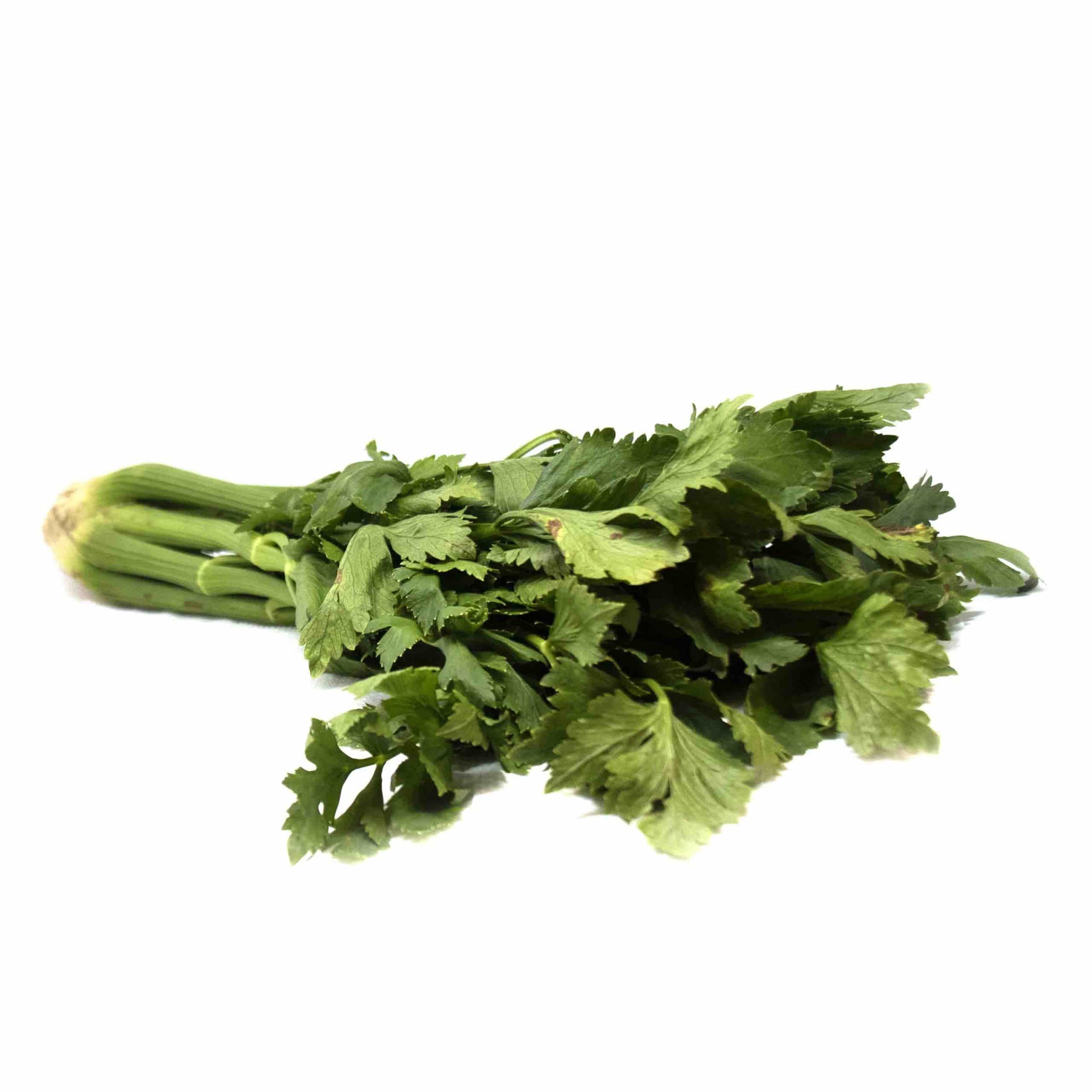 Celery