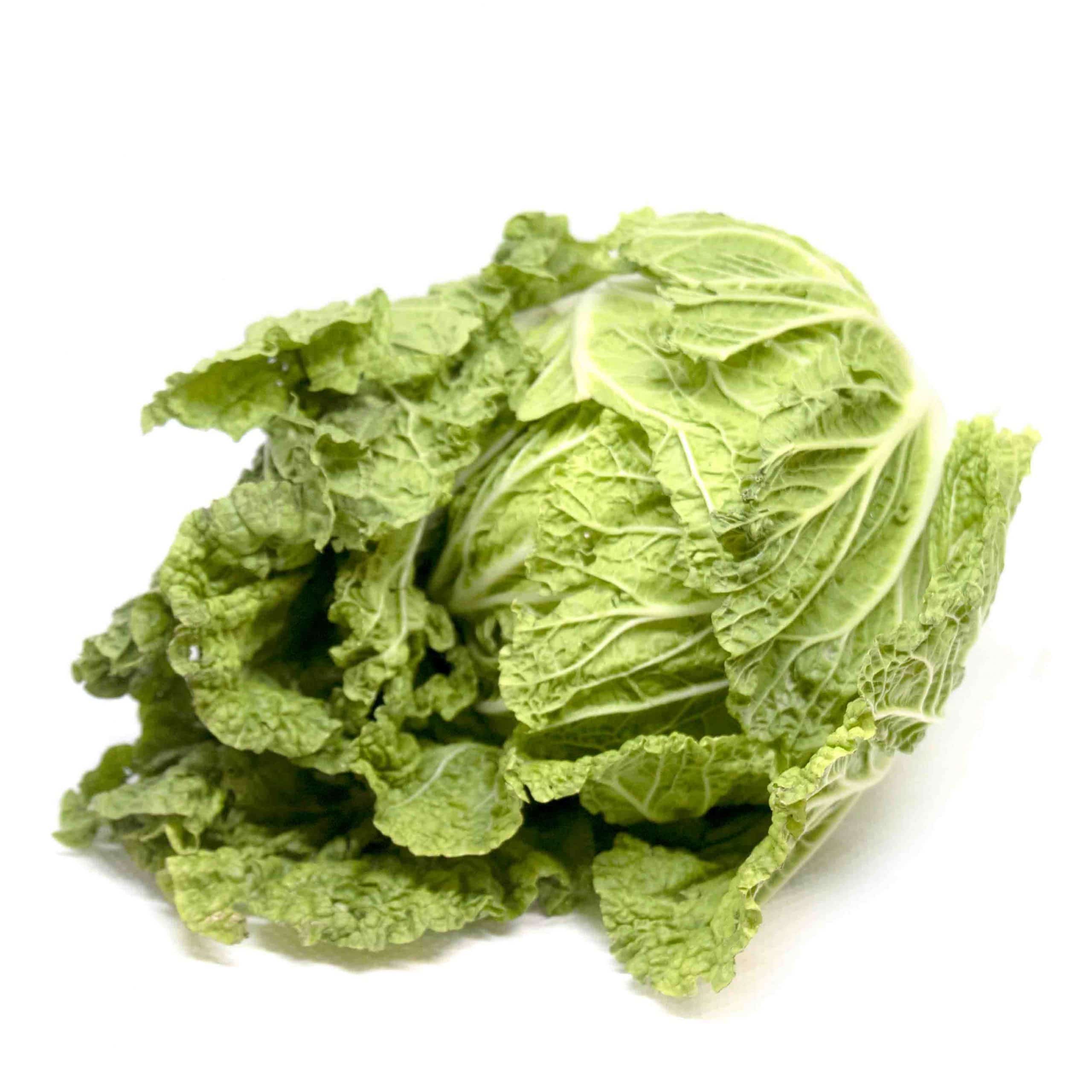 Chinese Cabbage