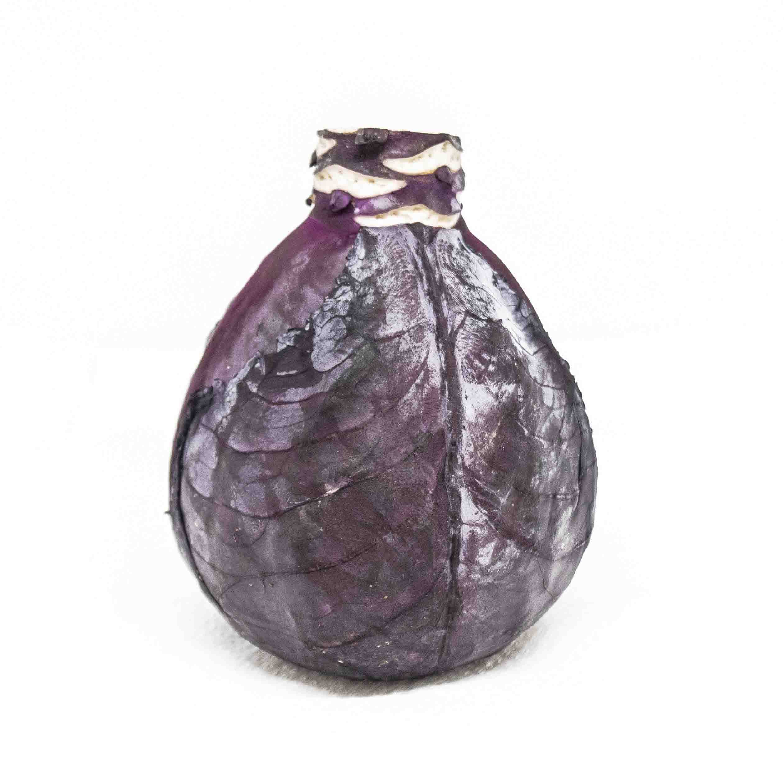 Red Cabbage