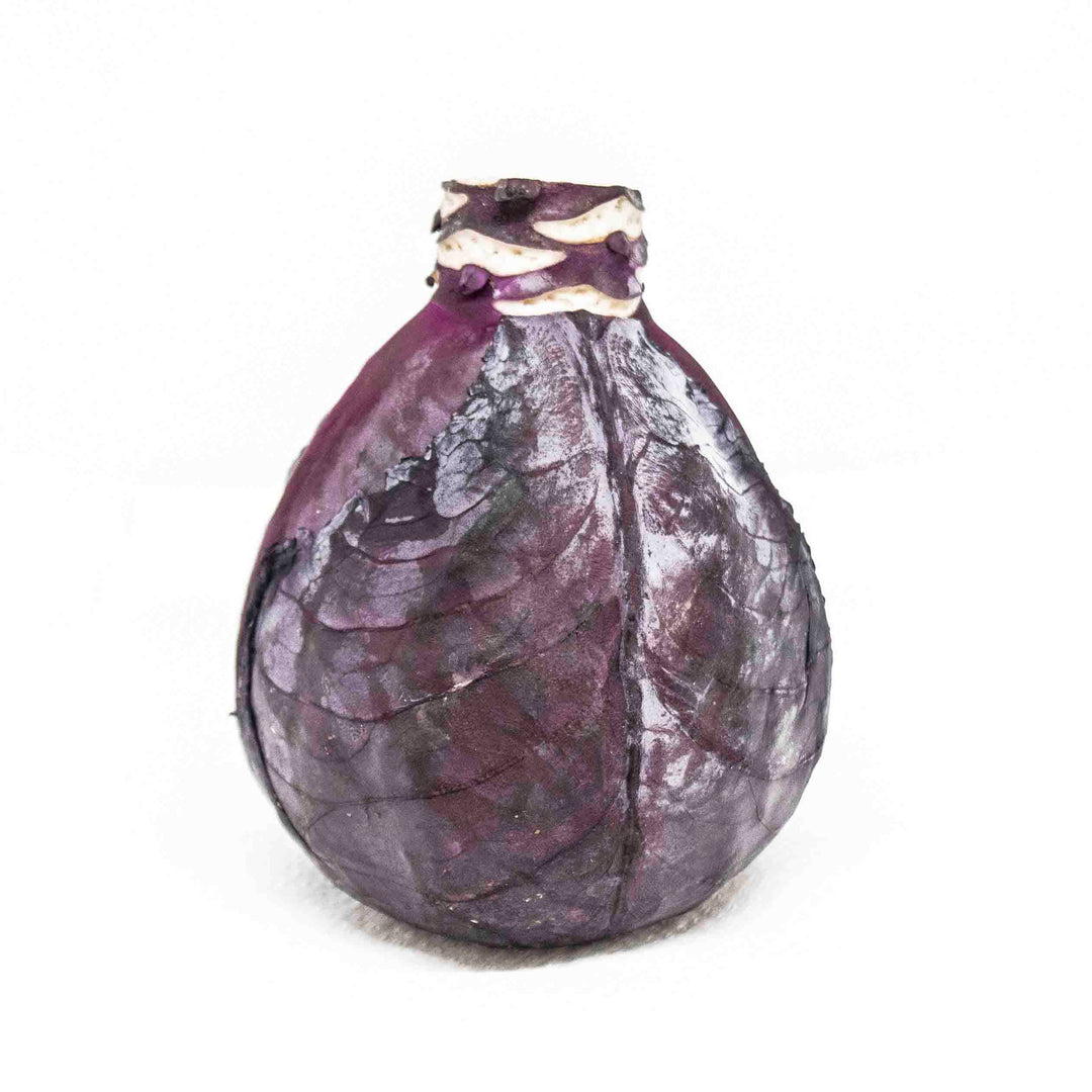 Red Cabbage   small