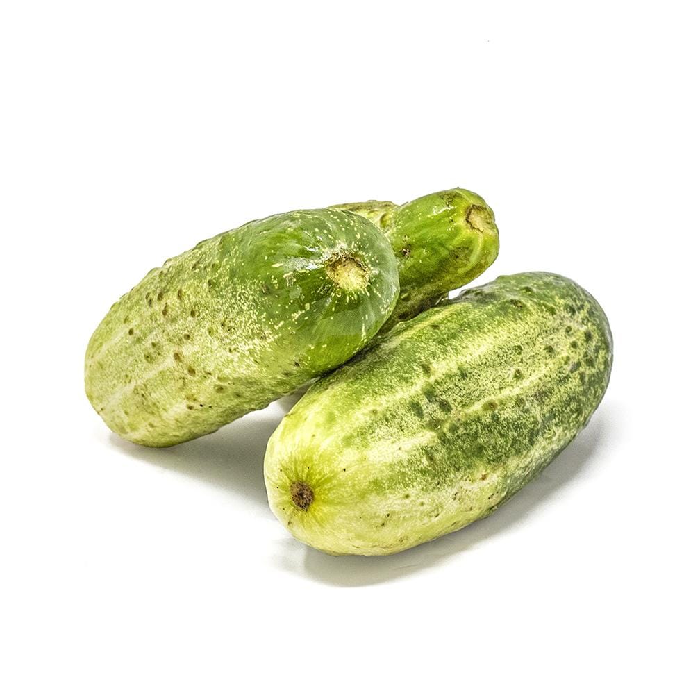 LOCAL CUCUMBER