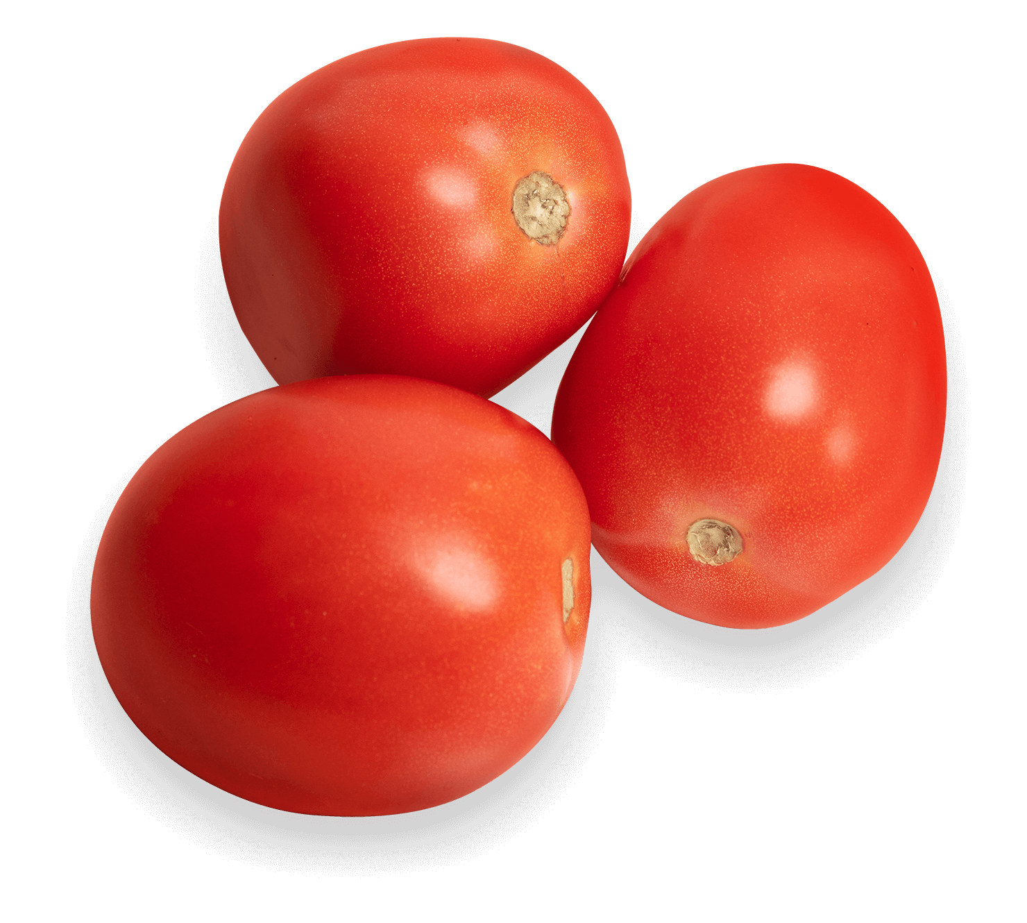 Fresh Roma Tomatoes 1kg