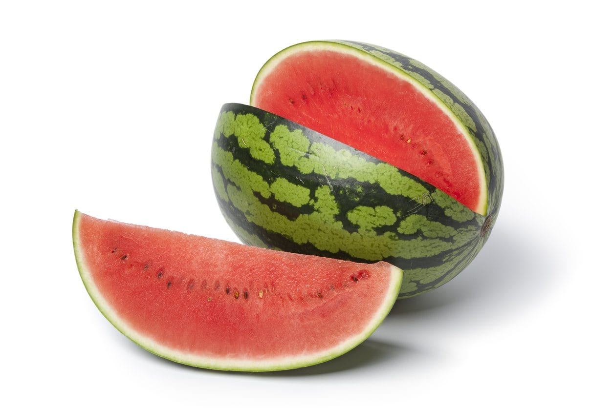 Water Melon (Zebra)