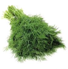 Dill Packet