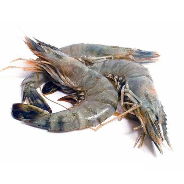 Fresh King Prawns