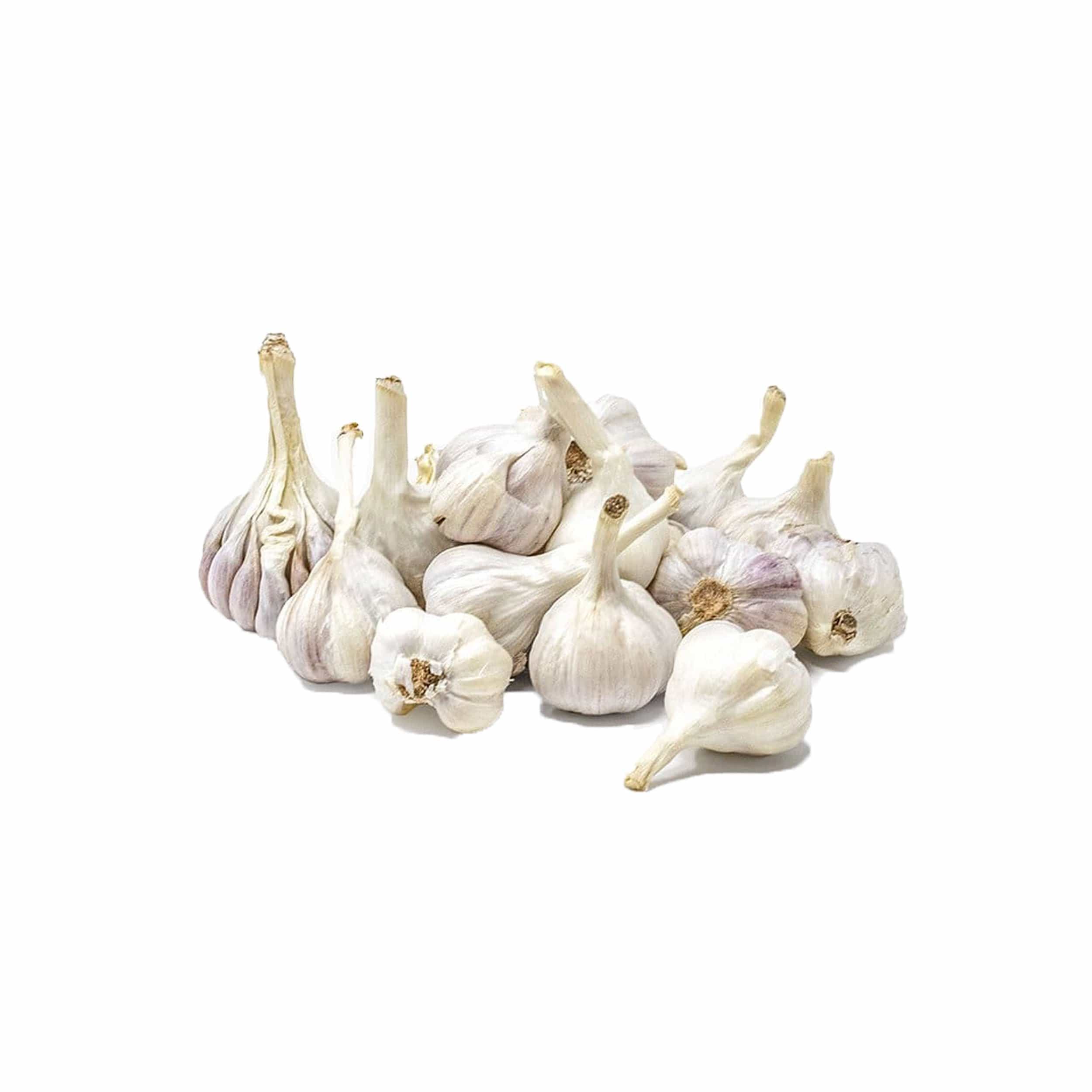 Local Garlic