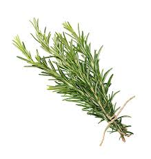 Rosemary Pre Packed 1 packet