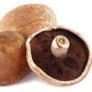 Portabella Mushrooms  500g