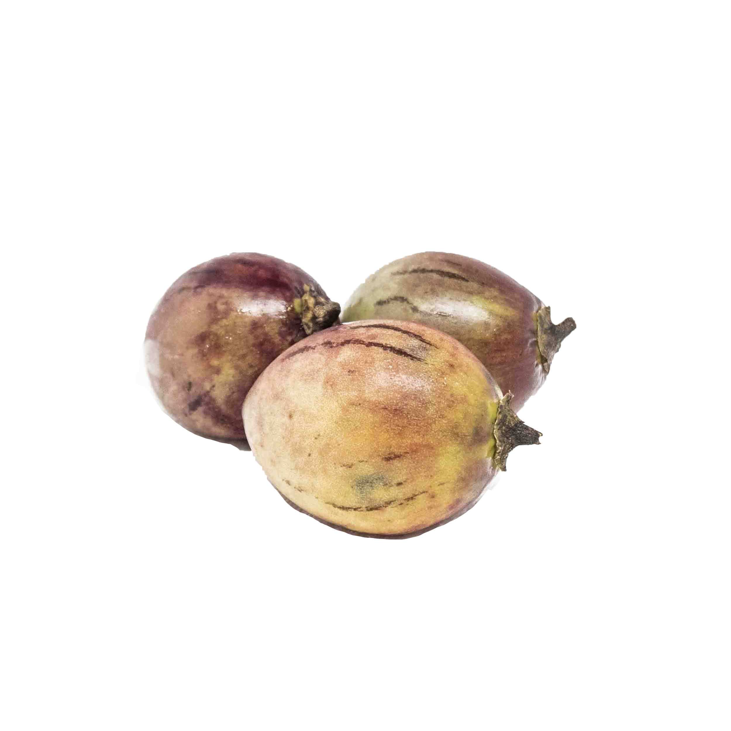 Tree  Tomato Pkt